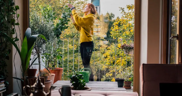 balcony garden