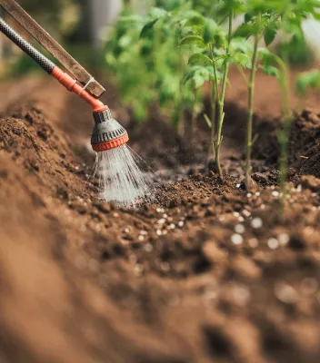 Watering plants