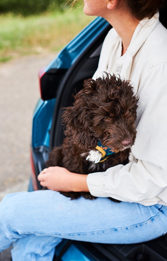 Woman carrying dog 