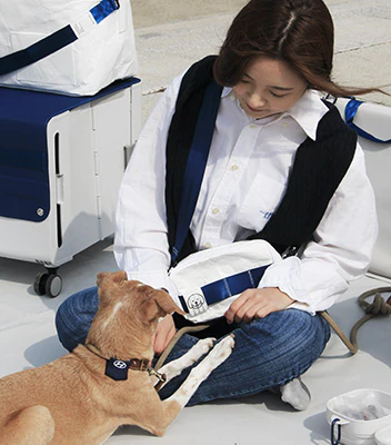 Girl playing with dog