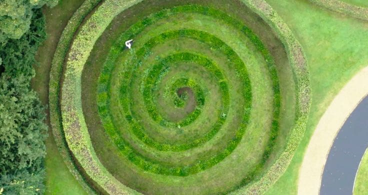 Drone eagle eye picture of forest area