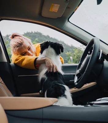 Dog in car